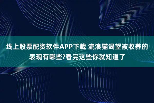 线上股票配资软件APP下载 流浪猫渴望被收养的表现有哪些?看完这些你就知道了