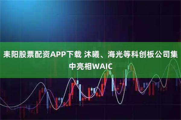 耒阳股票配资APP下载 沐曦、海光等科创板公司集中亮相WAIC
